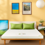 nem-foam-van-thanh-6.png