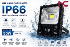 tieu-chuan-den-pha-led-50w-pnc01.jpg