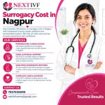 Surrogacy Cost in Nagpur..jpeg