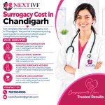 Surrogacy Cost in Chandigarh..jpeg