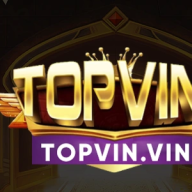 topvinvin