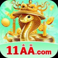com11aa