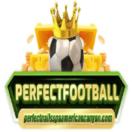 perfectnailssgt
