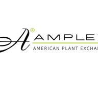 aboutamplex
