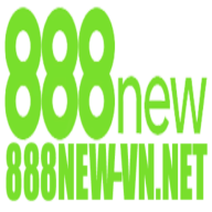 888new vn net
