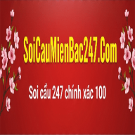 soicaumienbac