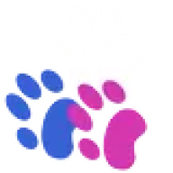 Bruce Street Hospital