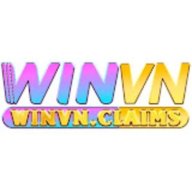 winvnclaims1