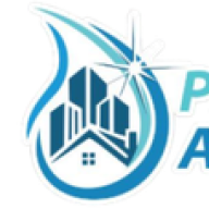 Pro Cleaning Action LLC