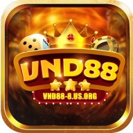 vnd888usorg