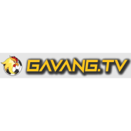 gavangtvwork