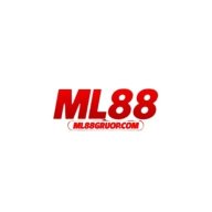 ml88groupcom