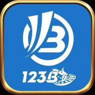 123bllc1