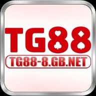tg888gbnet1