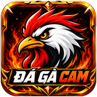 dagacamvideo
