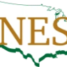 NES Building Solutions