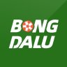 bongdalucourses