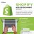 shopify experts