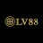 lv88nyccom