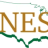NES Building Solutions