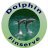 dolphinfinserve