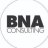 BNA Consulting